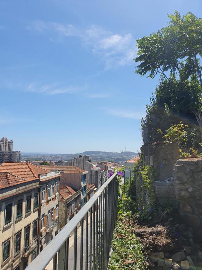 Pensión Alegria Garden